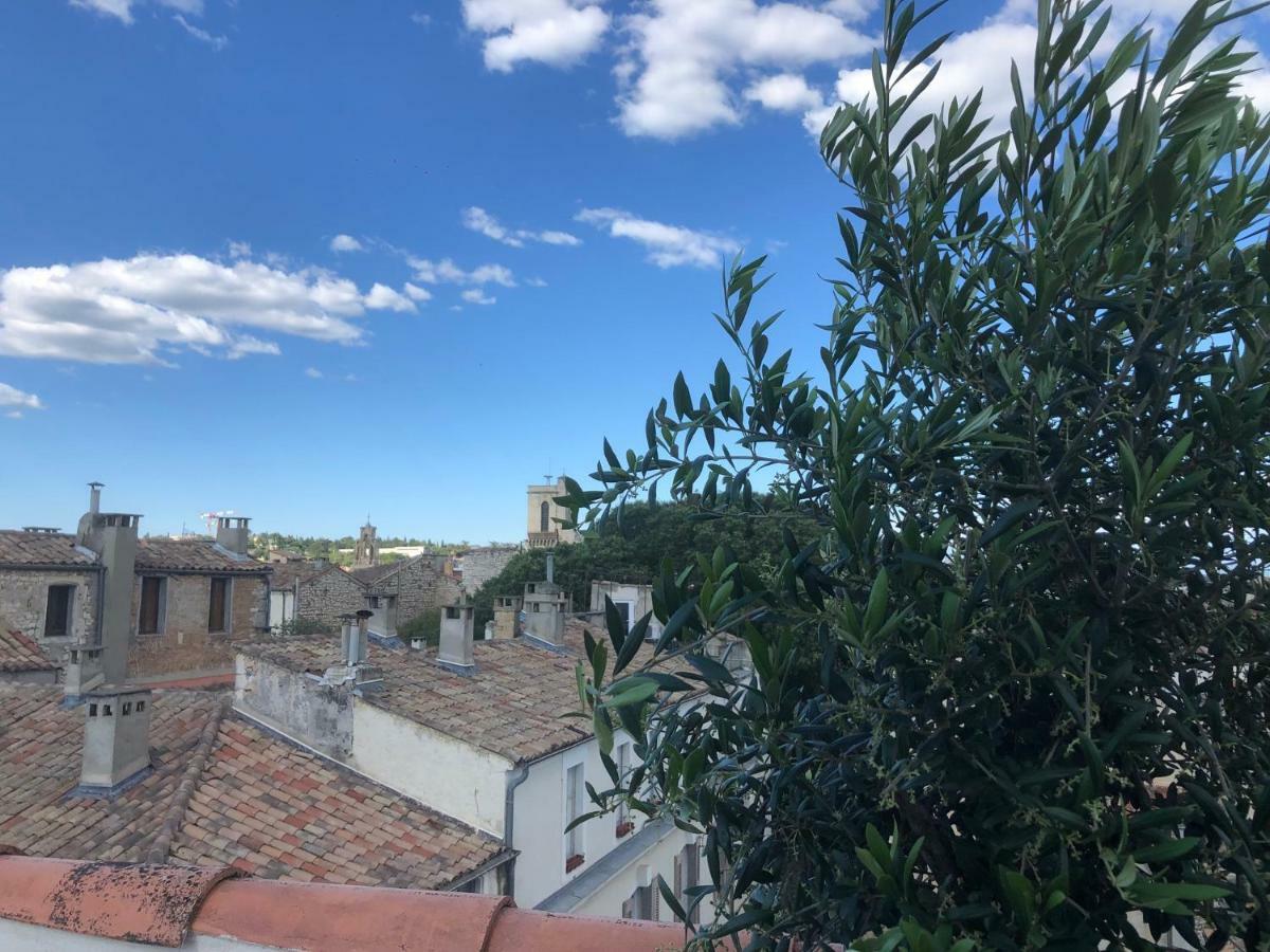 Appartement Avec Terrasse Panoramique Au Coeur De Nîmes Eksteriør billede